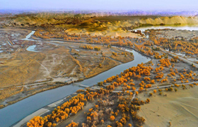 水利水电：新疆塔里木河因降雨发生洪水超警