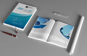 如何理解建筑工程项目技术标中的明标和暗标概念？